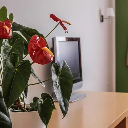 Hostel Vetrnica *